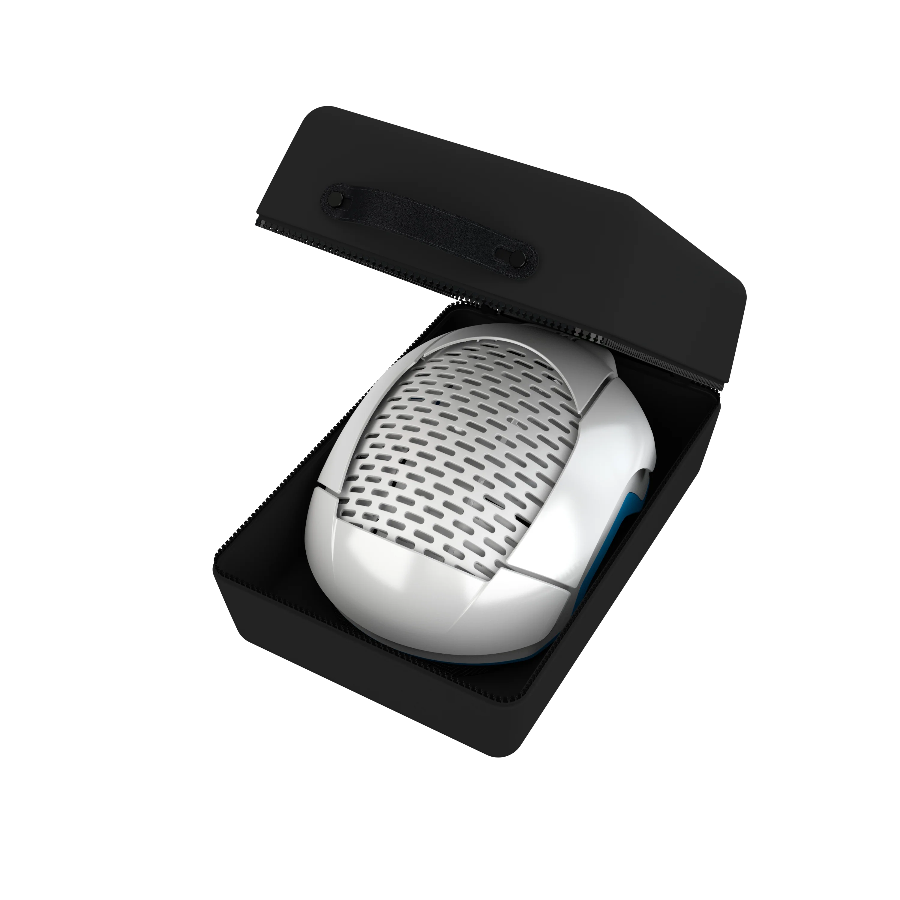 Carrying Case - Image 7